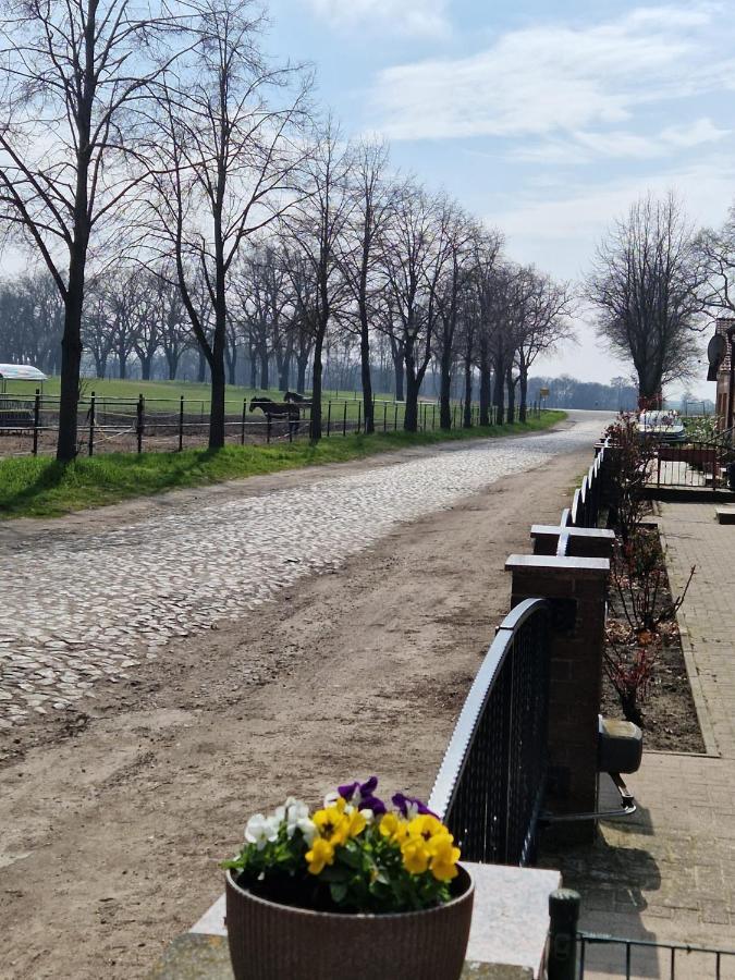 Ferienwohnung Fam. Natusch Steinhofel Esterno foto